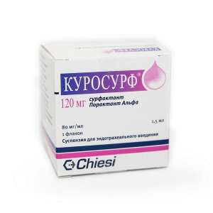 �������� 120�� (��������� �����) ������ � ������ ������������ - ����������� 1