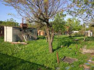 �������� 20 ����� ����� ���������. ������ ����������� .������. - ����������� 1