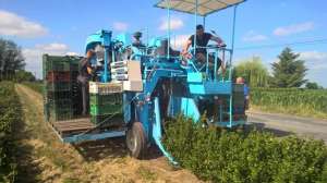 �������� BRAUD ��� ������� ����������� � �������� ��������� - ����������� 1