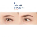 ������� � ����������: �������� Brow Artist. �������������, �����������, ������� ������