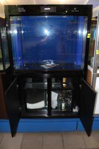 �������� CLEAIR BD-1000 �� 234 �. - ����������� 1