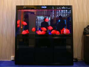 �������� Cleair MAZH-1000 �� 330 �. - ����������� 1