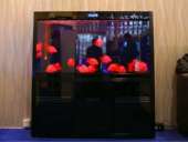 ������� � ����������: �������� Cleair MAZH-1500 �� 500 �.