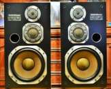 ������� � ����������: �������� Diatone DS-503