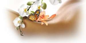 �������� - ����������� 1