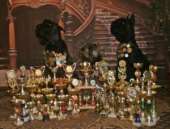 ��������