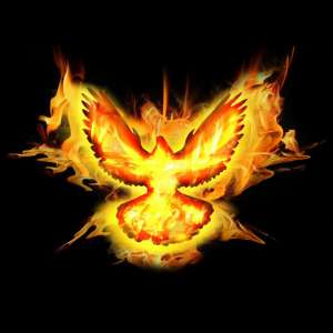 �������� - ����������� 1