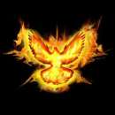 ������� � ����������: ��������