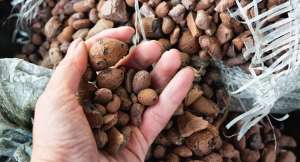 �������� - ����������� 1