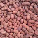 ������� � ����������: ��������