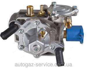 �������� Tomasetto Antartic - ����������� 1