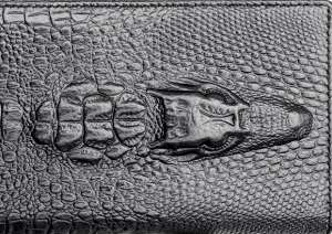 �������� Wild Alligator - ����������� 1