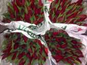 �������� � 8 ����� 2019 �� ��������� - ����������� 2