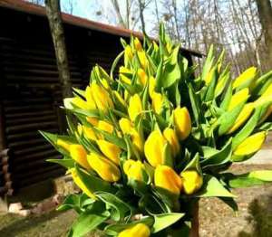 �������� � 8 ����� 2019 �� ���������/�������� �� 8 ������� - ����������� 1