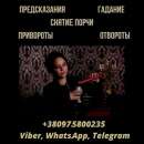 ������� � ����������: �������� � ������.