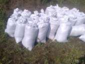 �������� � ������ ����� ������� ��������� �������� � ������ - ����������� 2