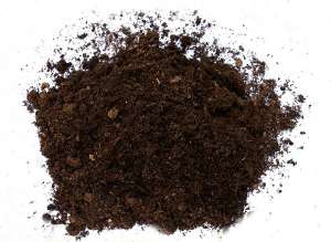 �������� � ������ ������ - ����������� 1