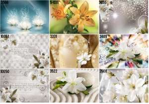 �������� � ������� � ������ | ������ 3D ���� � ������� - ����������� 1