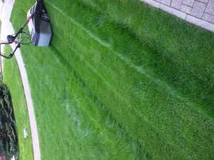 �������� � ������� ������������. - ����������� 1