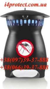 �������� � �������� �� ������ �����, ���� �� ������ ������ �������� � �������� �� ������ �����, ���� �� ������ ������. - ����������� 1