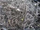 ������� � ����������: �������� � �������� �������