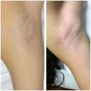 ������� � ����������: �������� � �������� ���������