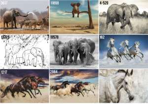 �������� � ��������� | ������ 3D ���� � ������� - ����������� 1