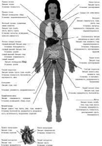 �������� � ����������� �������. ���������, ������ ������. ������������ ����. - ����������� 1