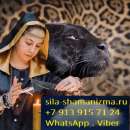 �������� � �����������. ������������ ��������� ��� �������� ���������� ��������! � ���������� ���������a ��� �� ���� ������ � � - ����������� 2