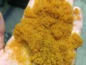 ������� � ����������: �������� �� 2-8, �����������, ������, �����!