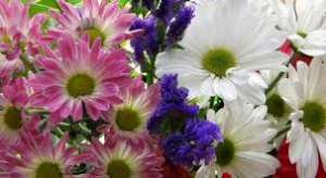 �������� �� 7 ������� - ����������� 1