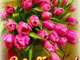 �������� �� 8 ����� �� �����, ��� � ������� 8 �����, �������� �� �������� 8 ����� - ����������� 1