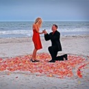 �������� �� ���� � �����. ���������� ������, ����� �����, �������