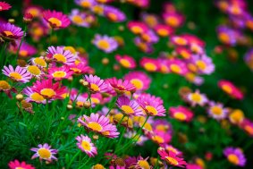 �������� �� ����, ����� ��������, �������� ��� ����� �� ������. ������� ��������, ����� ����� - ����������� 1