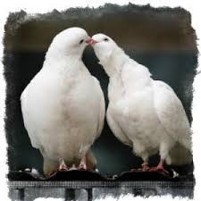 �������� �� ����. ������ �����! - ����������� 1