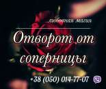 ������� � ����������: �������� �� ����. �������. ������ �����������.