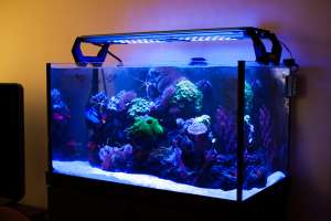 �������� �� ����� - ����������� 1