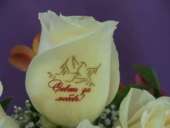 �������� �� �����, ��������� �����, ������ ��� ������� �� �����, �������� �� ����, ������ �� ������, ����������� �� ������. - ����������� 2