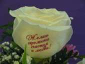 �������� �� �����, ��������� �����, ������ ��� ������� �� �����, �������� �� ����, ������ �� ������, ����������� �� ������. - ����������� 3