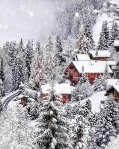 �������� �� ������ �� �����, ���� �� �������� �������, �������� �� ������ ����� - ����������� 1