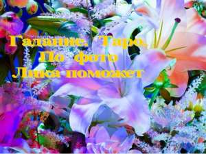 �������� �� ������ ����: ������ �����, ������, ������� �� �������. ������ ������ �� ������� - ����������� 1