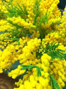 �������� �� ������ ����, ������ ������ � ������ - ����������� 1