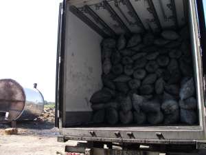 �������� �� ������ ����� ������ ����� ��������� ����������� ������� ��� - ����������� 1