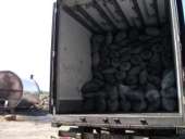 ������� � ����������: �������� �� ������ ����� ������ ����� ��������� ����������� ������� ���