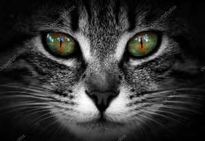 �������� �� ������. ������� ����� ��������� - ����������� 1