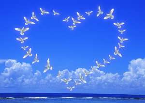 �������� �� ������ ,�������� �� ���������� ,����������� �������� ��������� ! ��������� ��� ����� - ����������� 1