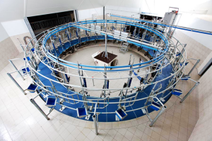 �������� �� ������ ���������� �������� "��������" ��� �������-�������� ����. - ����������� 1