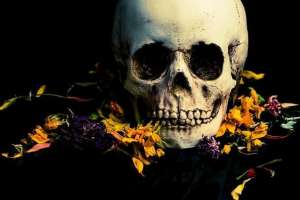 �������� �� ������. ��������������� - ����������� 1