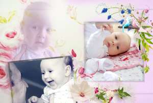 �������� �� ������� �����������, ��������, ���������� ����������, ��������� ���������� - ����������� 1