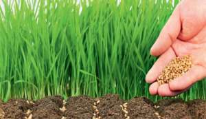 �������� �� �������� - ����������� 1